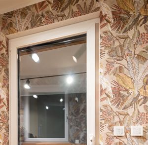 Kunststofftür Projecta - Brömse, Haldensleben bei Magdeburg