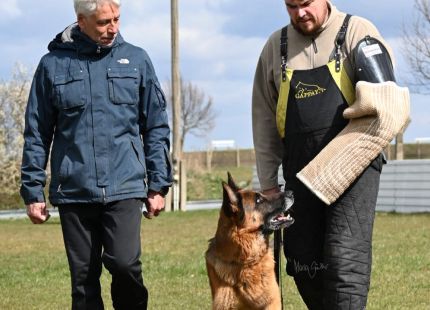 SV OG Friedensho╠êhe Magdeburg Sportliches